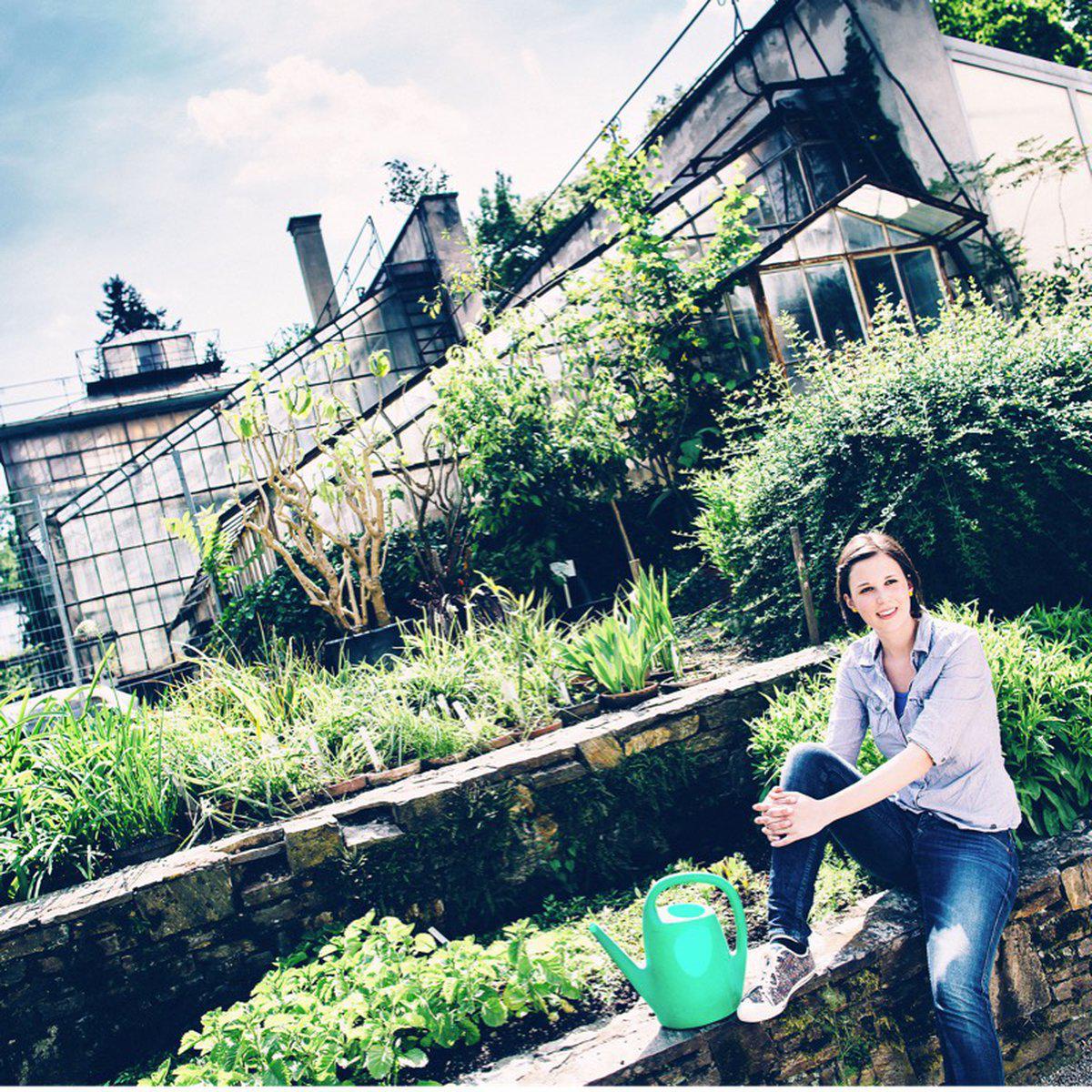 Glashaus Im Botanischen Garten Wird Jetzt Um 3 Millionen Saniert