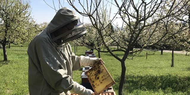 成为养蜂人