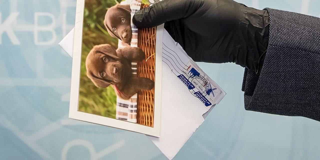 Blüten aus dem Darknet – Das Magazin Des Innenministeriums – pagestrip