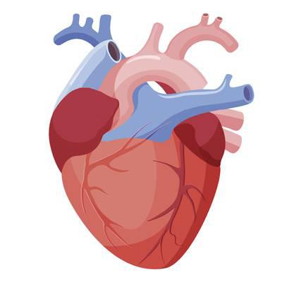 Covid-Update: Langzeitauswirkungen bei kardiologischen Patienten