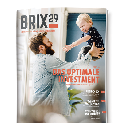BRIX 29