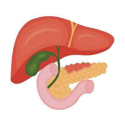 Leitlinien: Pankreatitis ist eine der häufigsten Erkrankungen des Magen-Darm-​Traktes