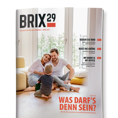 BRIX 29